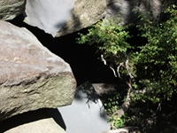 rrente Quarantore-20110911 094